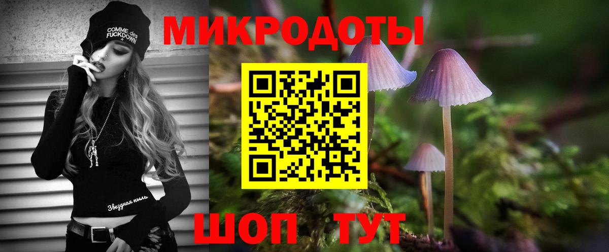 Псилоцибиновые грибы ЛСД  Вход с VPN  где купить наркотик  Петропавловск-Камчатский  Псилоцибиновые грибы Cubensis 